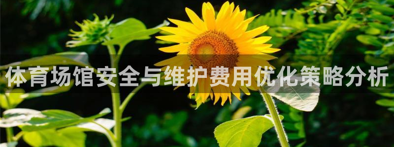 火爆体育下载：体育场馆安全与维护费用优化策略分析